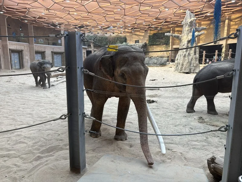 Rozbudowujemy monitoring w Orientarium Łódź – kolejny krok w stronę większego bezpieczeństwa