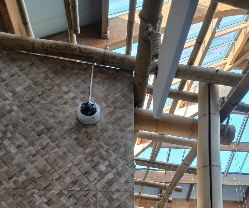 Testujemy odporność kamer monitoringu